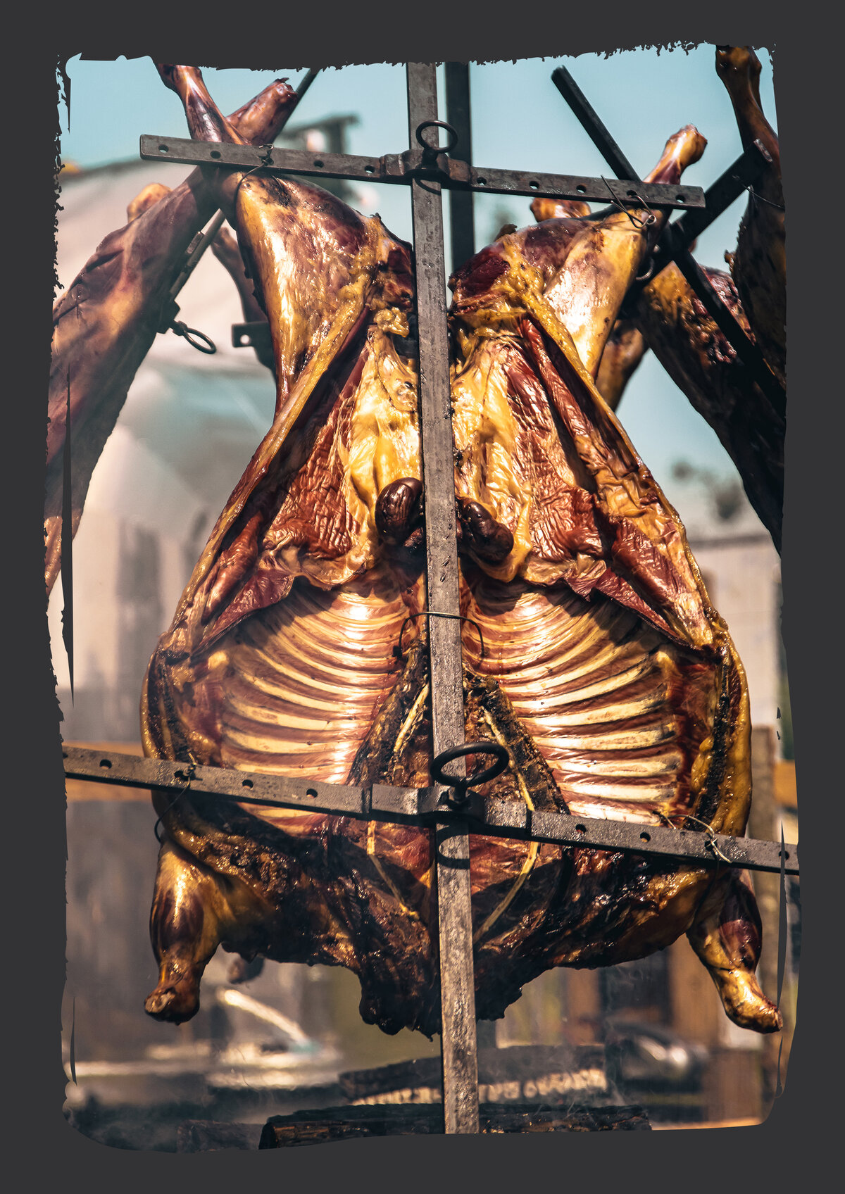 Dramatic whole animal Argentine asado cross from GNF brochure